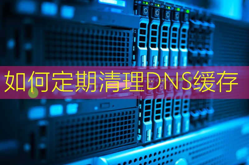 如何定期清理DNS缓存