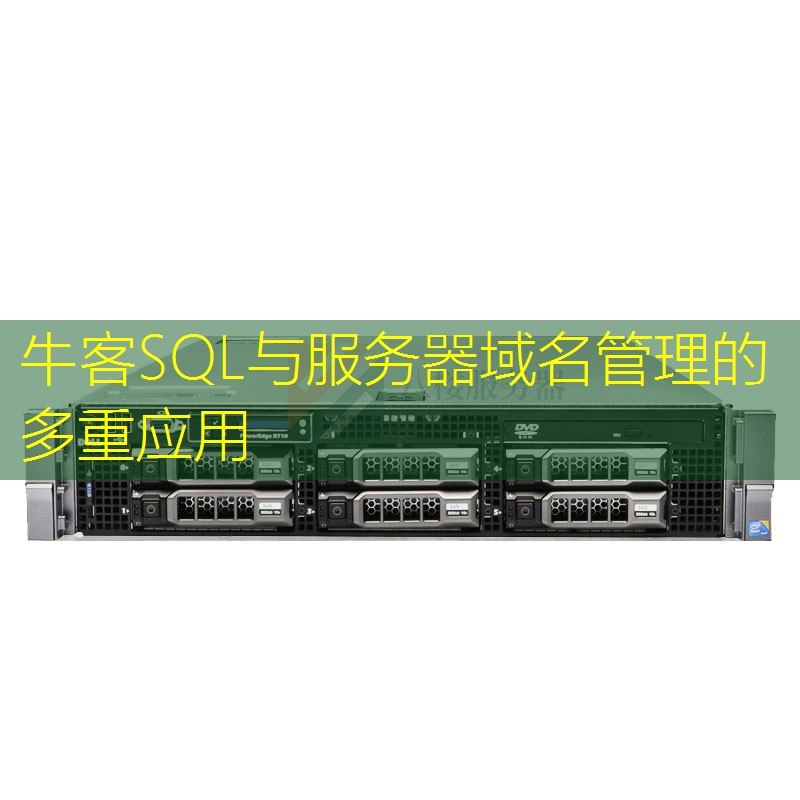 牛客SQL与服务器域名管理的多重应用
