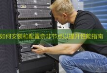 如何安装和配置奈非节点以提升性能指南-美国服务器