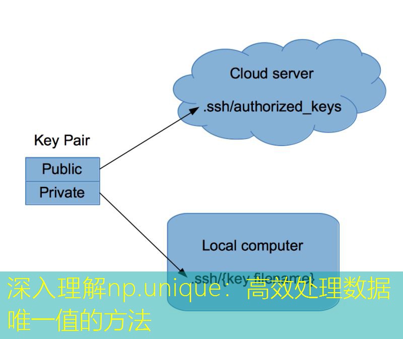 深入理解np.unique：高效处理数据唯一值的方法
