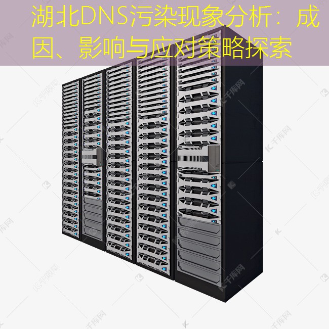 湖北DNS污染现象分析：成因、影响与应对策略探索