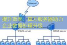 提升效率:算力服务器助力企业数据处理升级-美国服务器