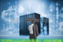 巧用Nginx启动命令:轻松搭建高效服务器-美国服务器