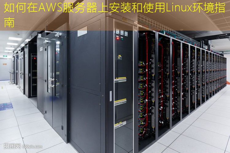如何在AWS服务器上安装和使用Linux环境指南