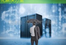 基于AS4134的高效网络路由优化解决方案-美国服务器