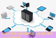 如何在阿里云香港服务器上安装和使用Linux环境指南-美国服务器