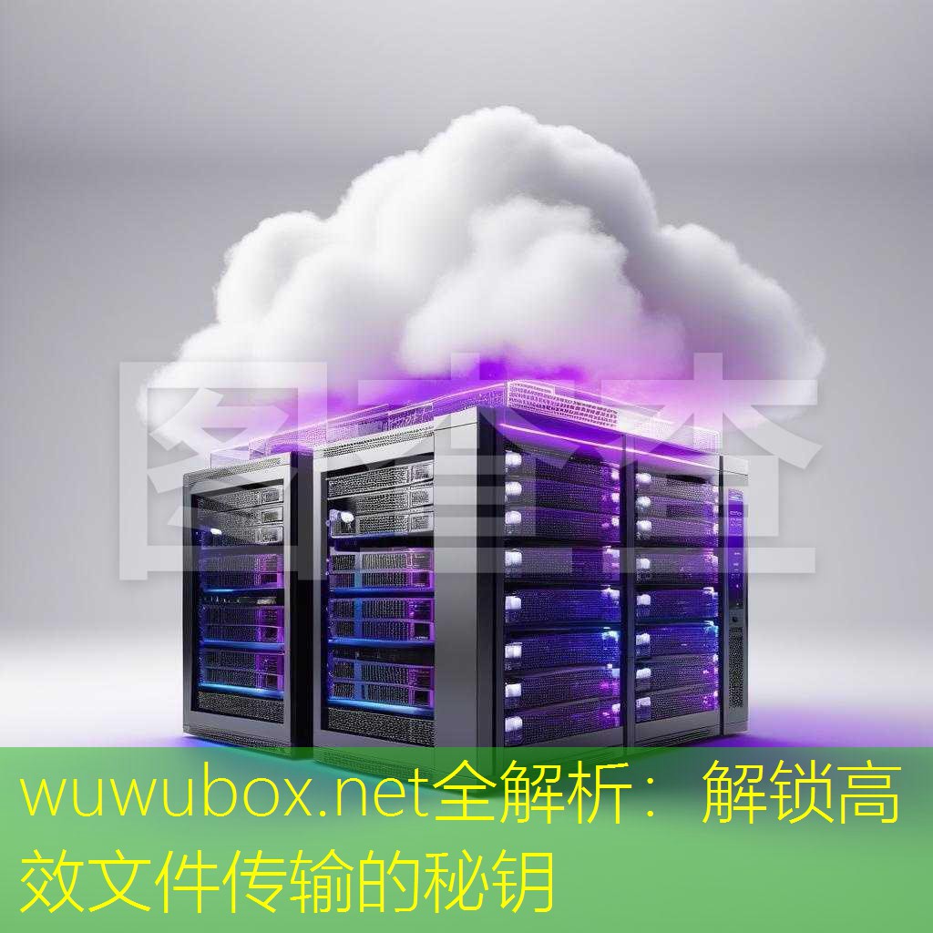 wuwubox.net全解析：解锁高效文件传输的秘钥