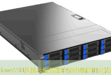 WindowsSSH连接云服务器的使用教程和安装指南-美国服务器