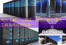 深入了解Ping测试:网络诊断的强大工具及其应用指南-美国服务器