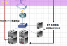 OplinkVPS速度缓慢的原因与解决方案-美国服务器