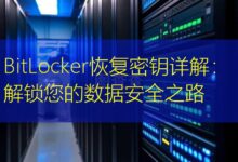 BitLocker恢复密钥详解:解锁您的数据安全之路-美国服务器