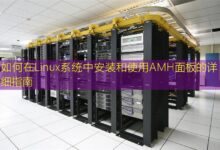 如何在Linux系统中安装和使用AMH面板的详细指南-美国服务器