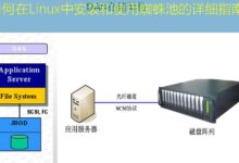 如何在Linux中安装和使用蜘蛛池的详细指南-美国服务器