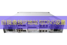 自我查找IP地址与DNS设置-美国服务器
