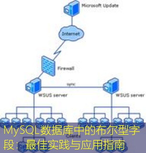 MySQL数据库中的布尔型字段：最佳实践与应用指南