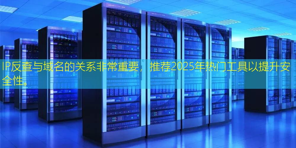 IP反查与域名的关系非常重要，推荐2025年热门工具以提升安全性。