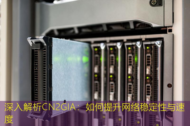 深入解析CN2GIA：如何提升网络稳定性与速度