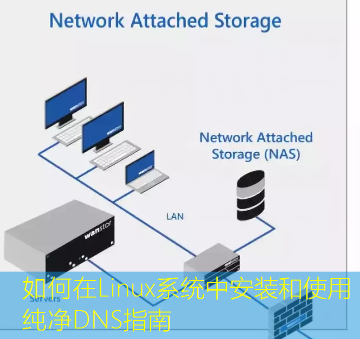 如何在Linux系统中安装和使用纯净DNS指南