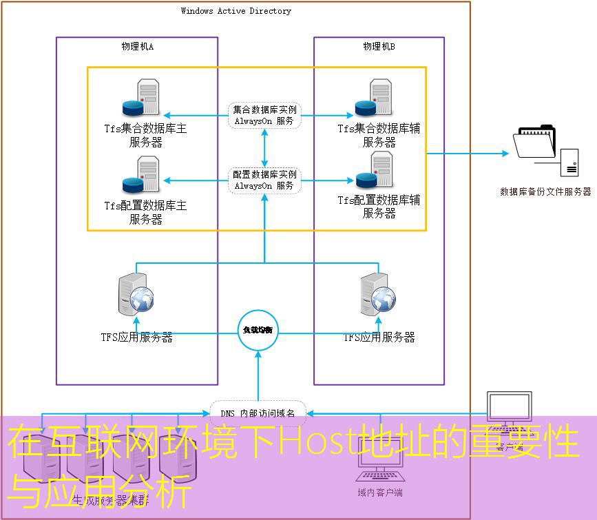在互联网环境下Host地址的重要性与应用分析