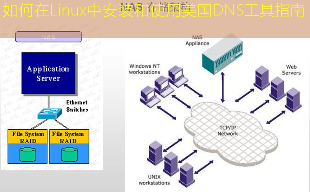 如何在Linux中安装和使用美国DNS工具指南