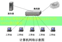 在Linux中如何安装和使用Duplicity与Minio进行备份?-美国服务器