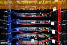 畅享Jellyfin账号共享:开启无限影视体验!-美国服务器