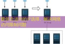 提供合适州的IP选择,解决网络访问限制问题-美国服务器