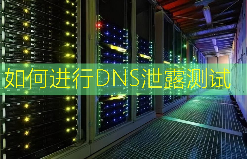 如何进行DNS泄露测试