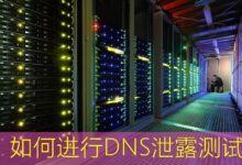 如何进行DNS泄露测试-美国服务器
