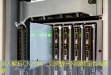 深入解析CN2GIA:如何提升网络稳定性与速度-美国服务器