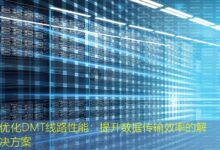 优化DMT线路性能:提升数据传输效率的解决方案-美国服务器